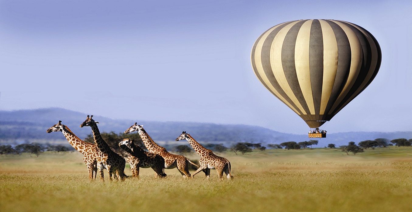 Classic Kenya Safari | Kenya Safari Tours | Friends of Africa Family ...